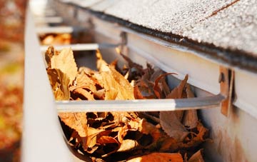Lower Common gutter cleaning companies