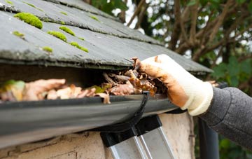 gutter cleaning Lower Common